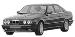 BMW E34 P2491 Fault Code